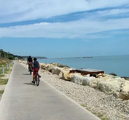 Conchiglia 25 Cupra Marittima